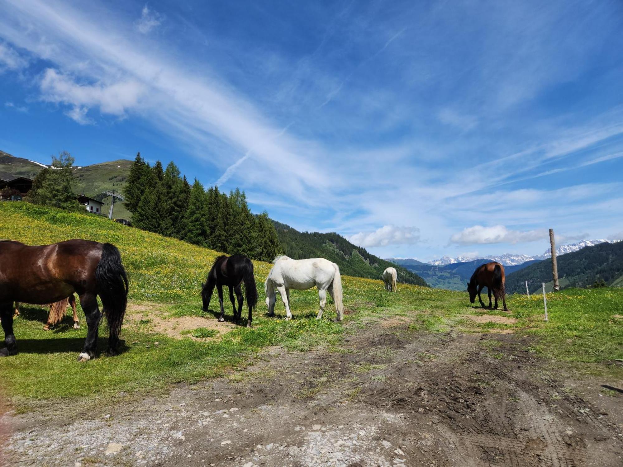 Lipphuette Top Lage Mit Traumhafter Aussicht Rauris Exterior photo